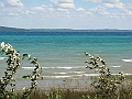 Western Michigan [2010] 552